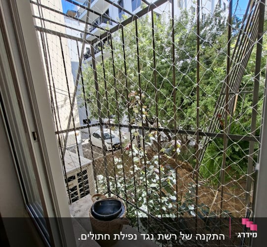 רשת הגנה על חלון עם עציצים ברקע